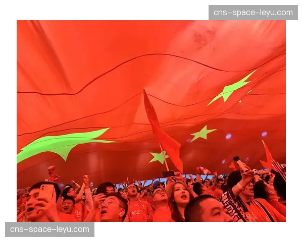 球迷闯入梅斯塔利亚球场导致比赛中断五分钟