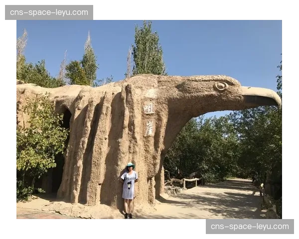 从落选秀到顶级3D：朱俊龙的逆袭之路