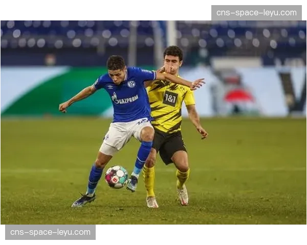 独家专访沙尔克04商务总监：谈俱乐部降级后如何通过内容制作维持媒体曝光与商业价值